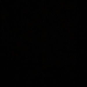 Meet your Posher, Khellie